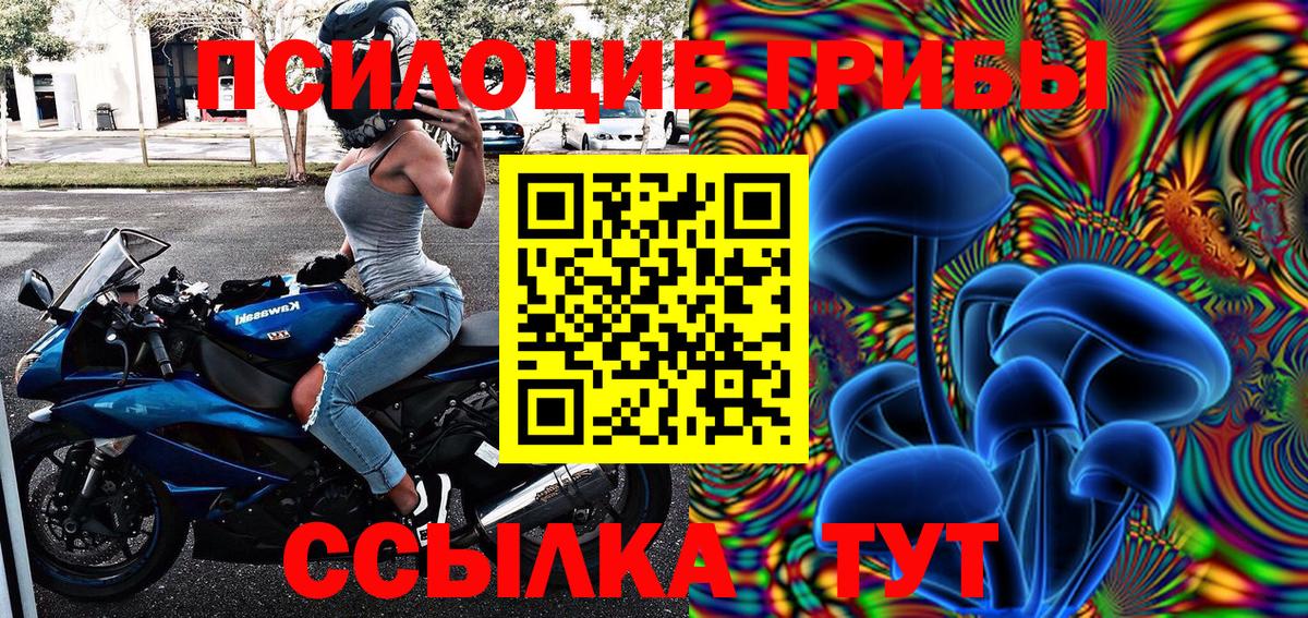 Псилоцибиновые грибы Psilocybine cubensis Чистополь