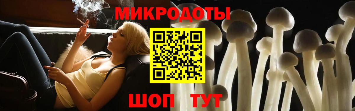 Чистополь  магазин    Вход с VPN  Псилоцибиновые грибы Psilocybine cubensis 